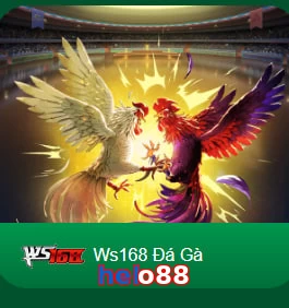 helo88